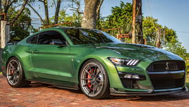 FORD SHELBY GT500 SIGNATURE SV310S