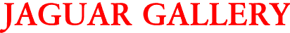 JAGUAR GALLERY