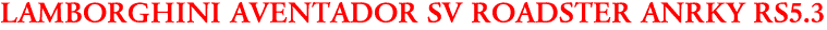 LAMBORGHINI AVENTADOR SV ROADSTER ANRKY RS5.3