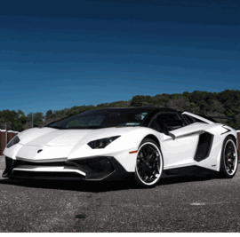 LAMBORGHINI AVENTADOR SV ROADSTER HRE S201