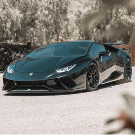 LAMBORGHINI PERFORMANTE HRE S201