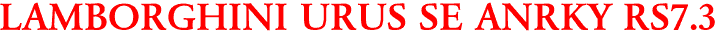 LAMBORGHINI URUS SE ANRKY RS7.3