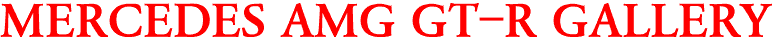 MERCEDES AMG GT-R GALLERY