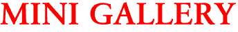 MINI GALLERY