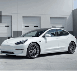 TESLA MODEL 3 HRE P101SC