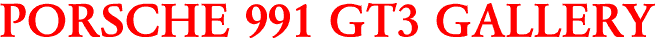 PORSCHE 991 GT3 GALLERY