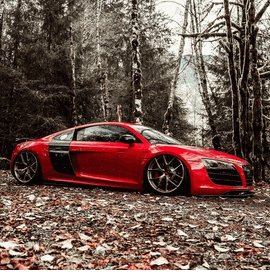 AUDI R8 BBS FI-R
