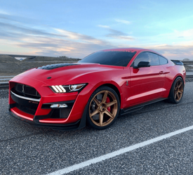 FORD SHELBY GT500 SIGNATURE SV703