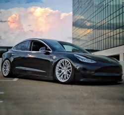 TESLA MODEL 3 SIGNATURE SV105