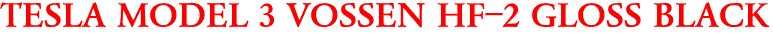TESLA MODEL 3 VOSSEN HF-2 GLOSS BLACK
