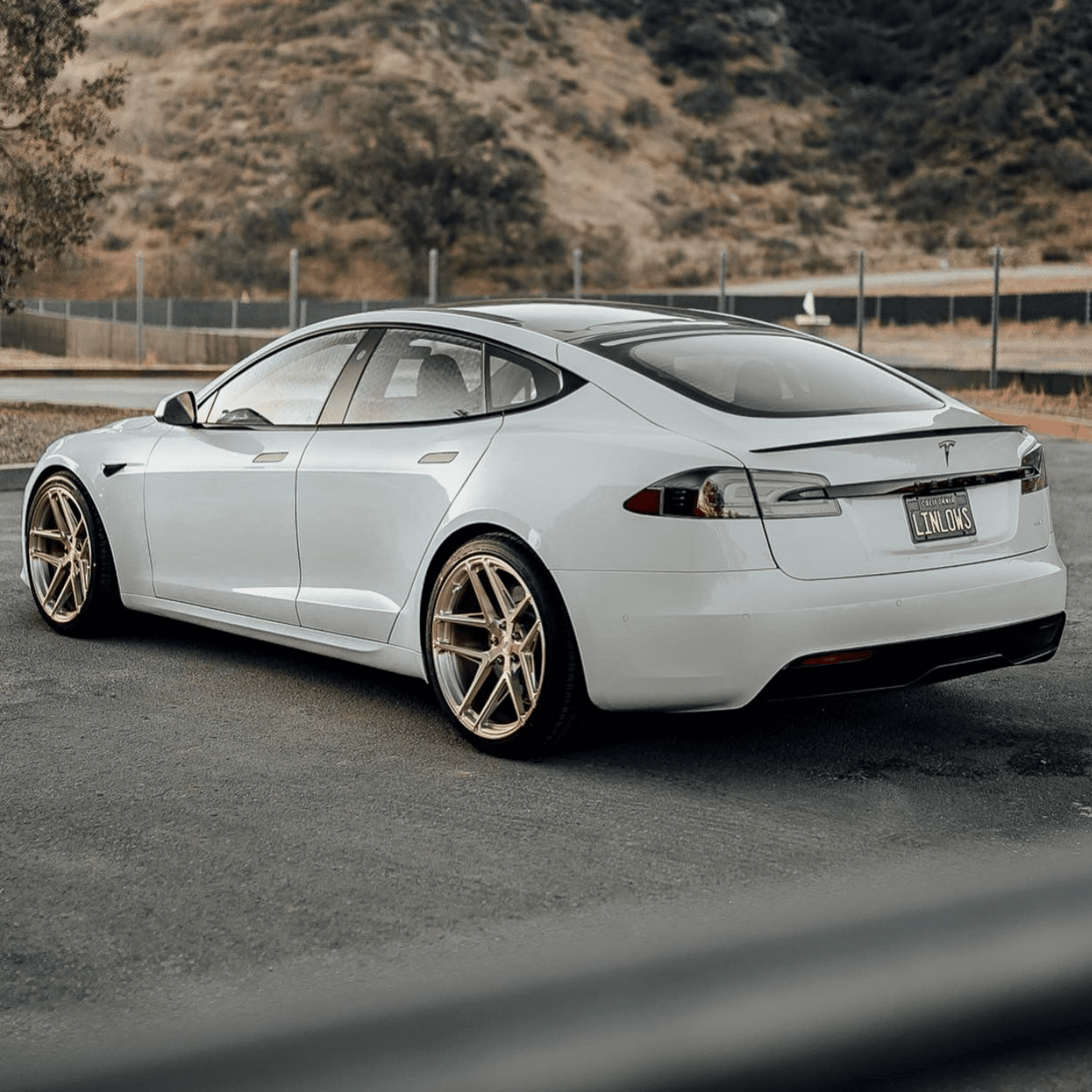 TESLA MODEL S SIGNATURE SV705