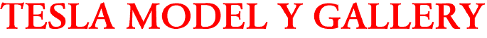 TESLA MODEL Y GALLERY