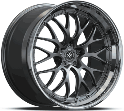 VERITAS FORGED 310 TR