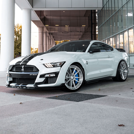 FORD SHELBY GT500 SIGNATURE SV310S