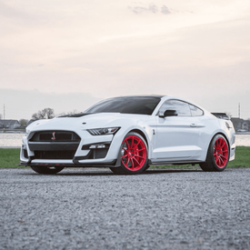 FORD SHELBY GT500 SIGNATURE SV501