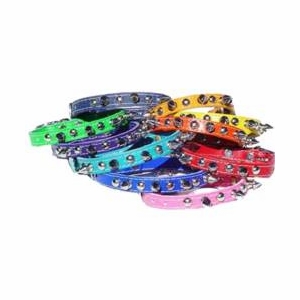 1/2 inch  Leather Spike And Stud Dog Collar