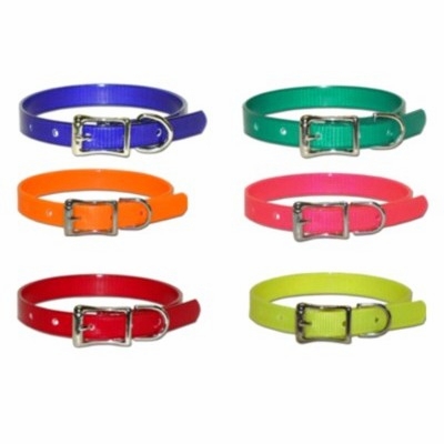 1/2 inch wide Sunglo Puppy Collar