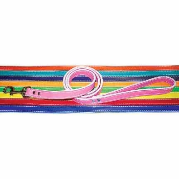 1/2" x 4ft. Leather Dog Lead