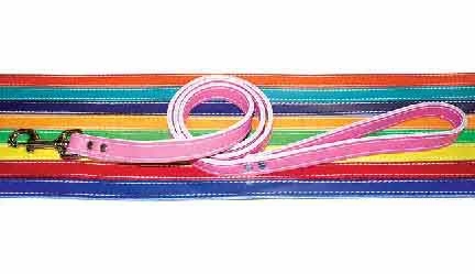 1/2" x 4ft. Leather Dog Lead