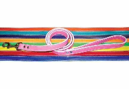 1/2" x 4ft. Leather Dog Lead