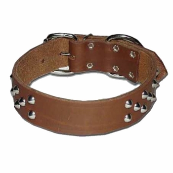 1.5 in wide Front D Cone Stud Leather Dog Collar