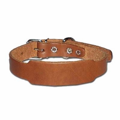 Beagle Dog Collar 3/4 inch wide