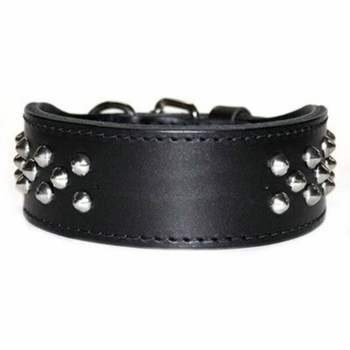 Black 2 in wide Tapered Leather Collar 