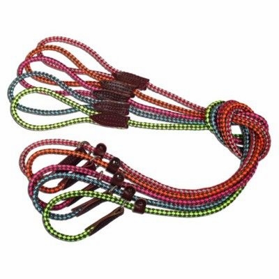 British Reflective Rope Slip Lead and Collar