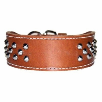 Brown 2 in wide Tapered Leather Collar