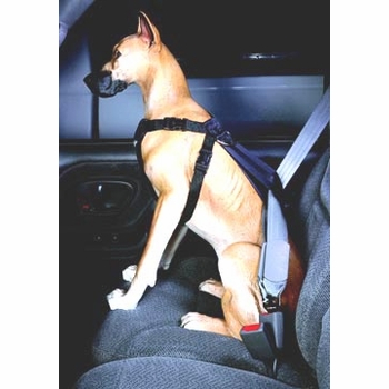 Car Safety Dog Harness