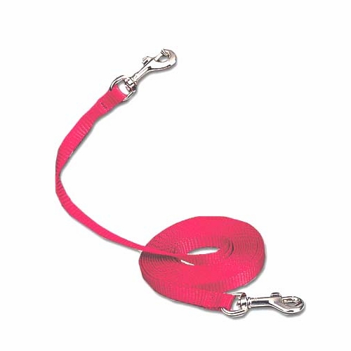 Cat Tie-Out /Lead