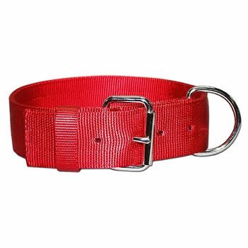 Dee in Front Bravo Dog Collar 2 Inches Wide 