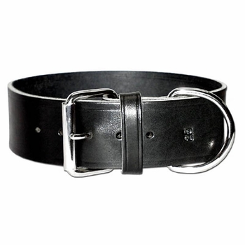 Latigo Leather Dog Collar 2 inches wide