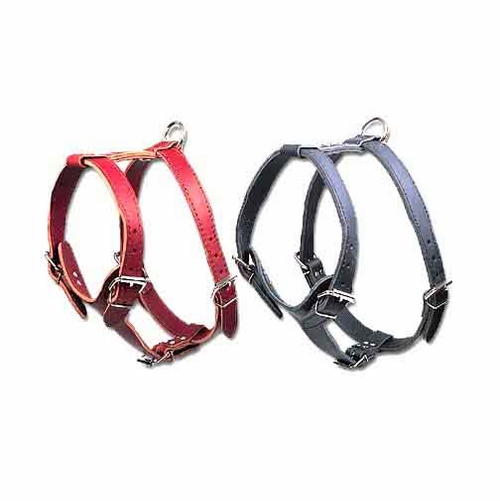Latigo Leather Dog Harness Size Large
