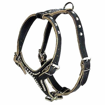 Latigo Leather Dog Harness With Studs size Large