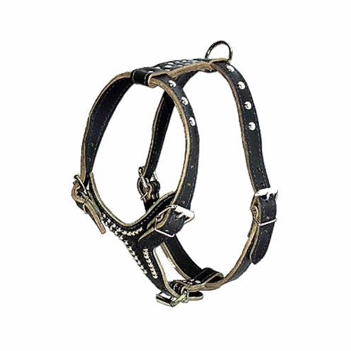 Latigo Leather Dog Harness With Studs size Large