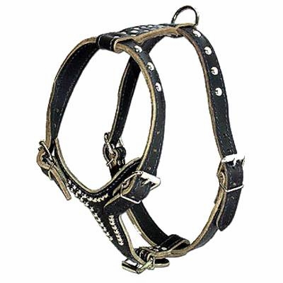 Latigo Leather Dog Harness With Studssize X-Large