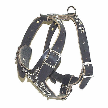 Latigo Leather Spiked Dog Harness Size Small