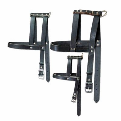 Leather H-Style Dog Harness 1 inch wide 