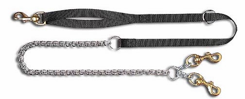 Nylon and Chain Leads - 2 dogs