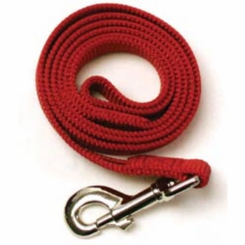 Nylon Lead 5/8 Inch Width x 6 ft.