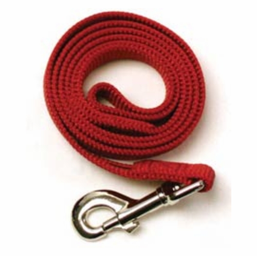 Nylon Lead 5/8 Inch Width x 6 ft.