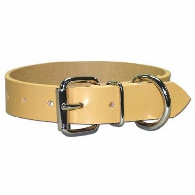 Perma Regular Dog Collar 1 inch wide