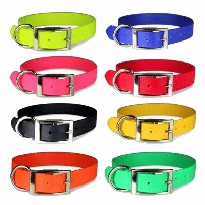 Regula Zeta 1 inch wide