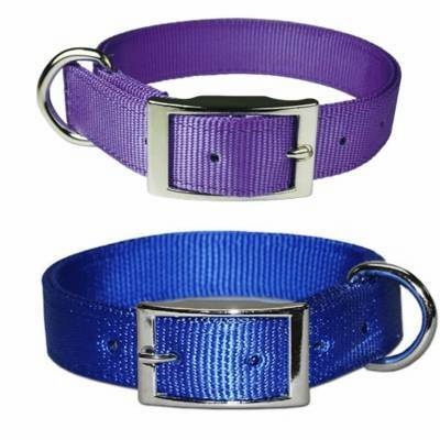 Regular Bravo Dog Collar 1 Inch wide