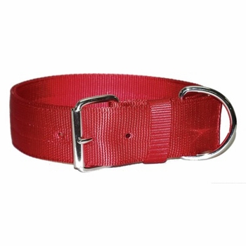 Regular Bravo Dog Collar 2 Inches Wide