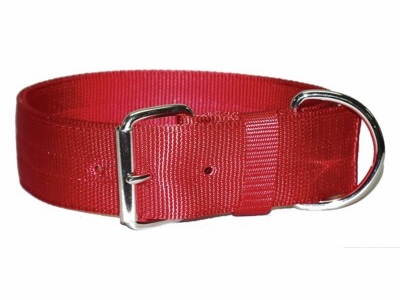 Regular Bravo Dog Collar 2 Inches Wide