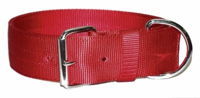 Regular Bravo Dog Collar 2 Inches Wide