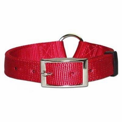 Ring in Center Bravo Dog Collar 1 Inch wide