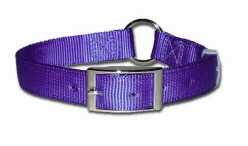 Ring-in-Center Bravo Dog Collar 3/4 Inch Wide